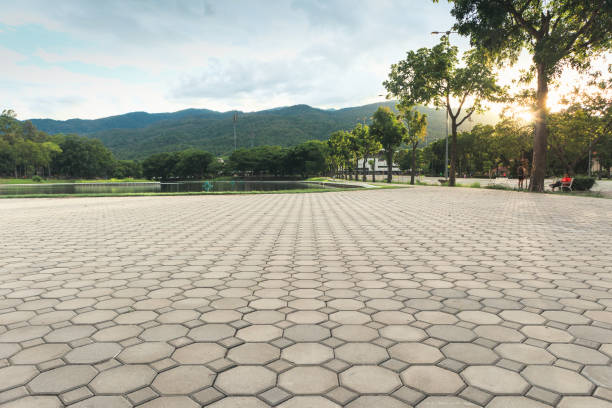 Best Professional Driveway Pavers  in Pixley, CA